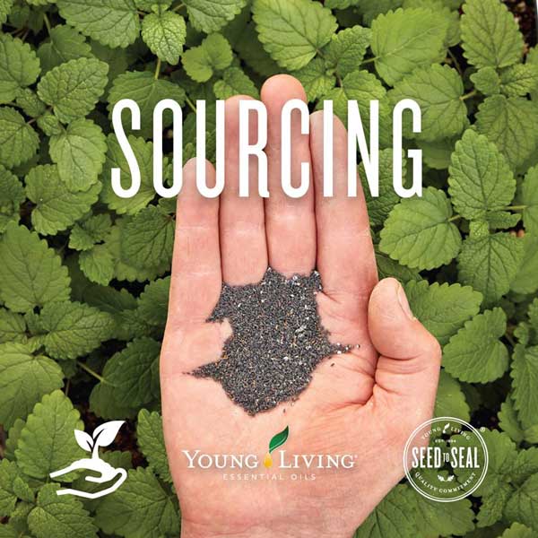 Young Living Sourcing